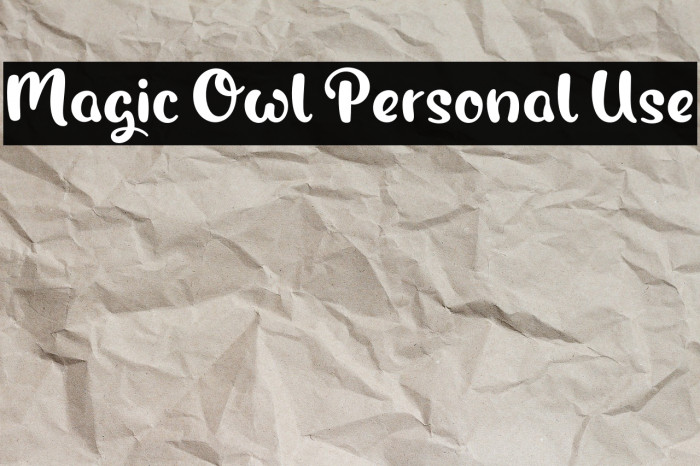 Magic Owl Personal Use Example 3