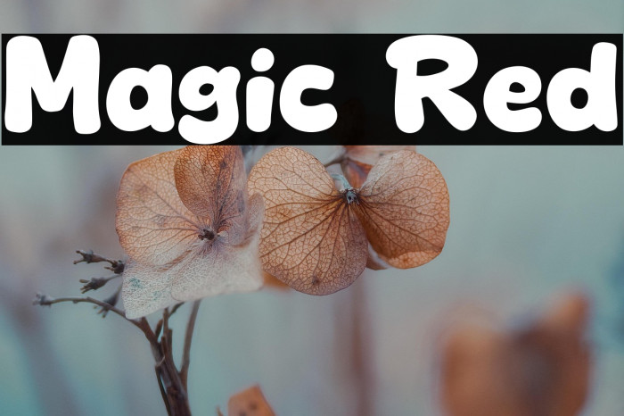 Magic Red Example 3