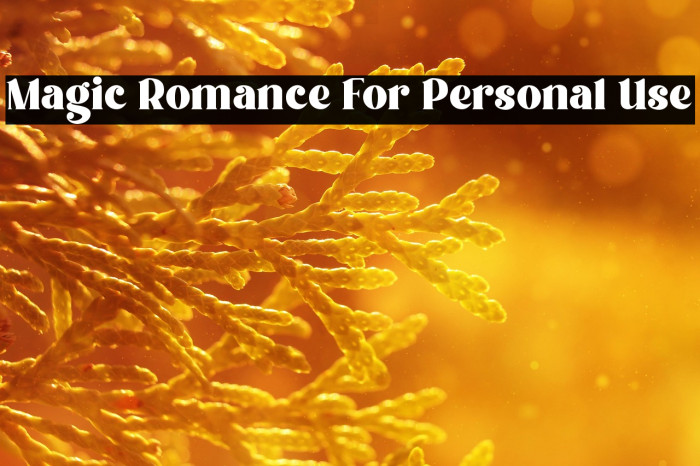 Magic Romance For Personal Use Example 1