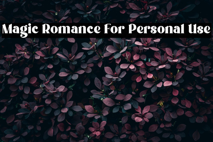 Magic Romance For Personal Use Example 2