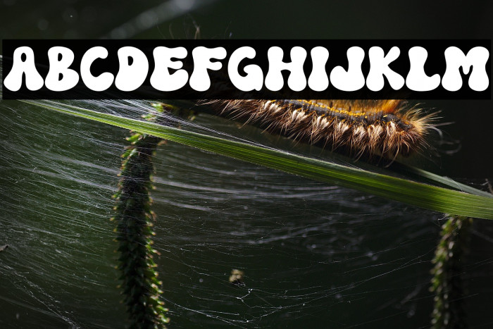 Magic School Regular Example 2