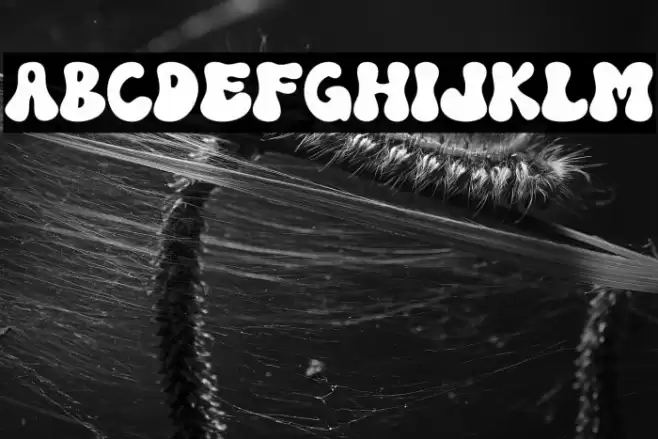 Magic School Regular Font examples