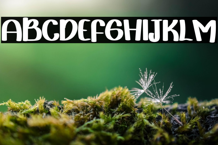 Magic Smile Example 2