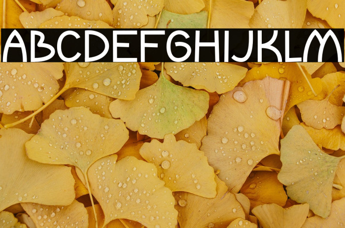 Magic Spark Example 3