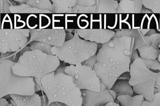 Magic Spark Fuentes examples