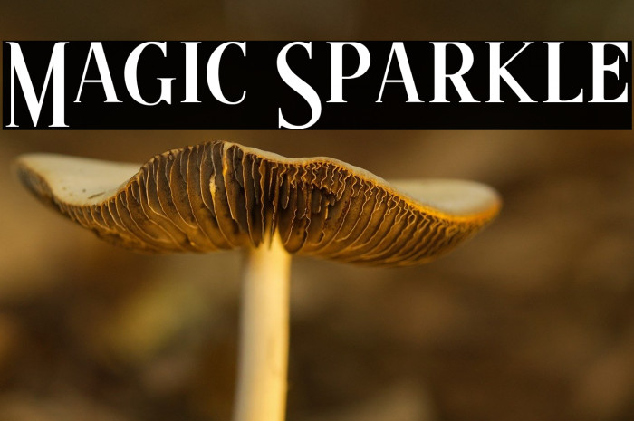 Magic Sparkle Example 1