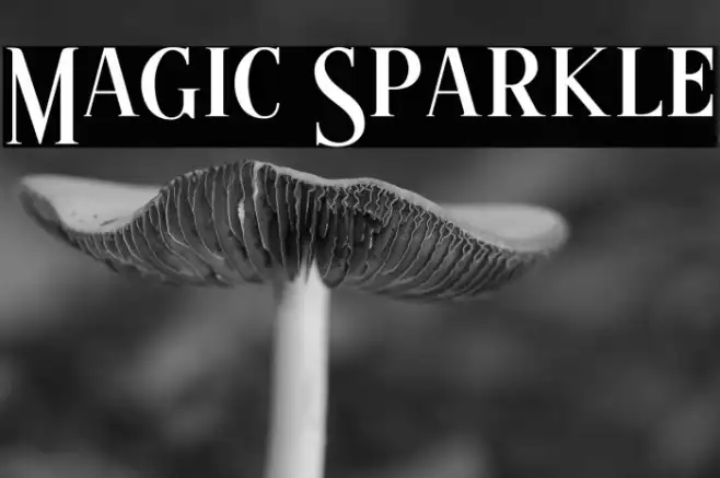 Magic Sparkle Example 1