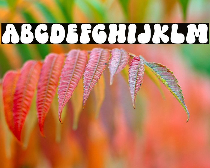 Magic Spirit Regular Example 3