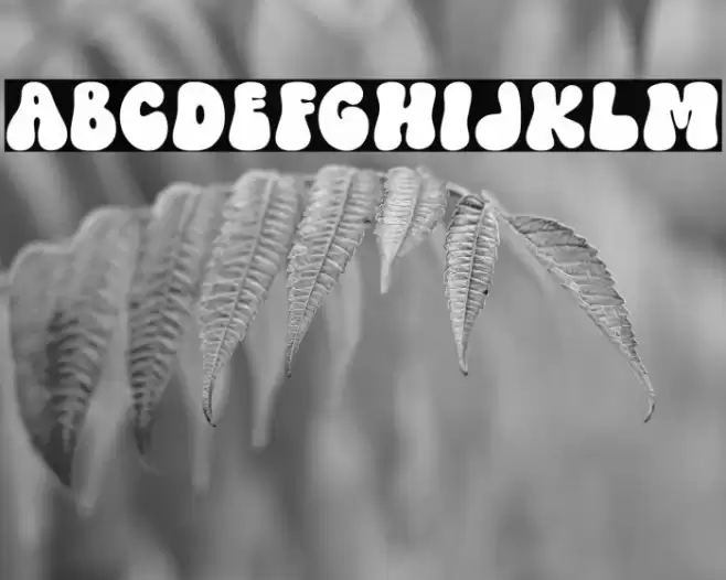 Magic Spirit Regular フォント examples