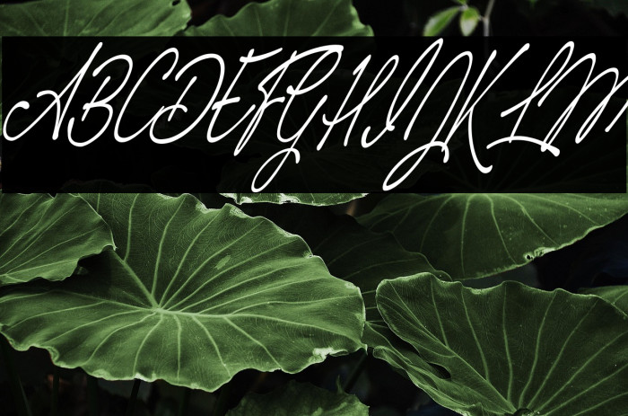 Magic Touch Personal Use Regular Example 3