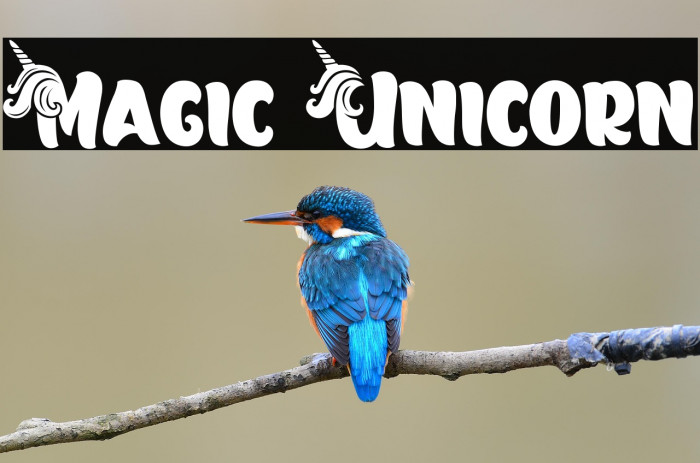 Magic Unicorn Example 1