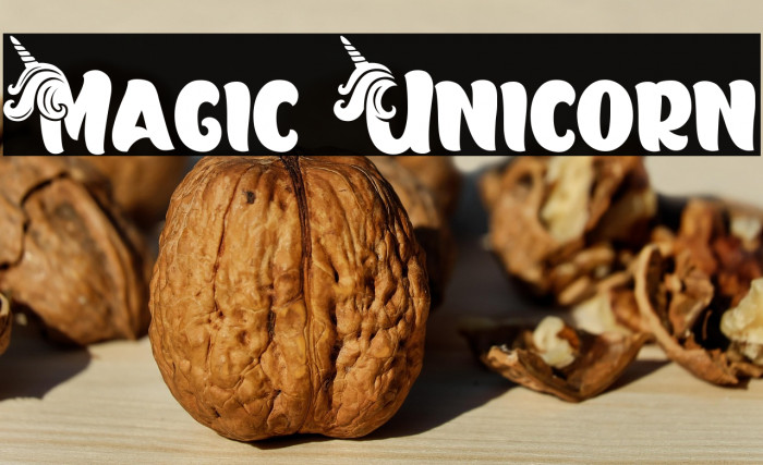 Magic Unicorn Example 2