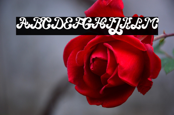 Magic Wand Example 1