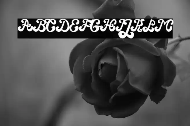 Magic Wand Font examples