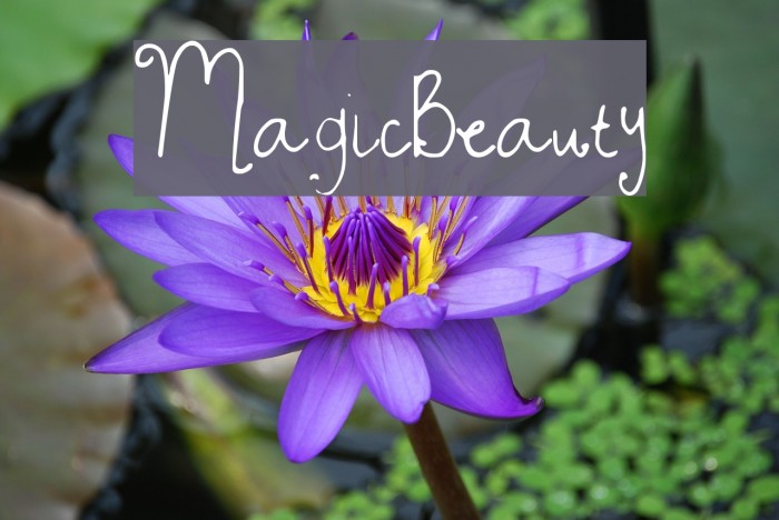 MagicBeauty Font examples