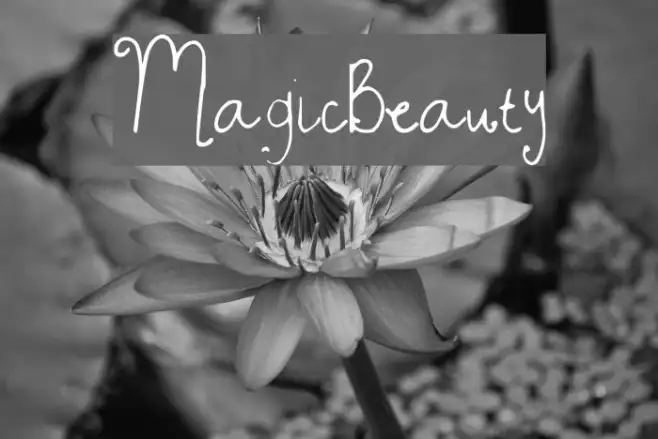 MagicBeauty Example 1