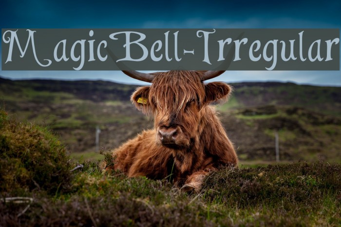 MagicBell-Irregular Example 1