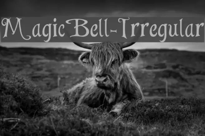 MagicBell-Irregular Example 1