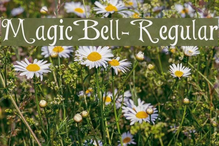 MagicBell-Regular Example 3