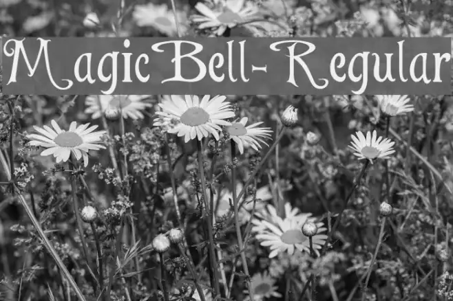MagicBell-Regular Example 3