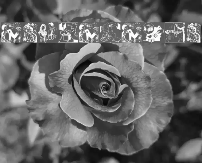 MagicCatalog2 Шрифта examples