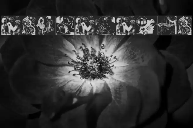 MagicCatalog2 Шрифта examples