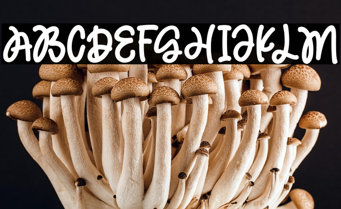 MagicHoliday Example 1