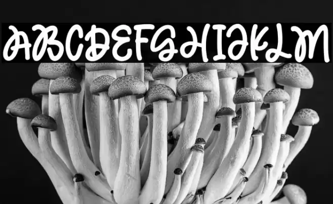 MagicHoliday Font examples