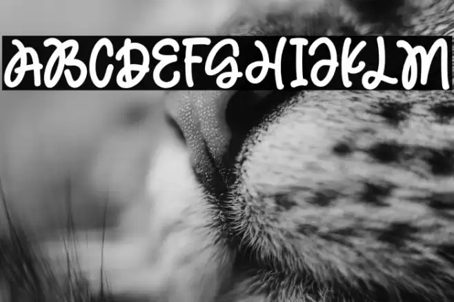 MagicHoliday Font examples