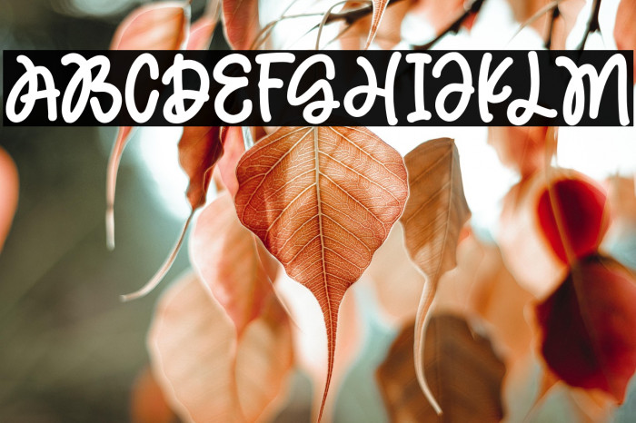 MagicHoliday Example 3