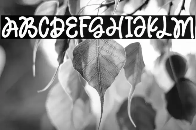 MagicHoliday Font examples