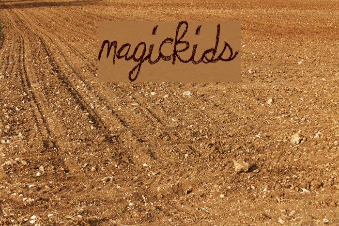 MagicKids Example 1