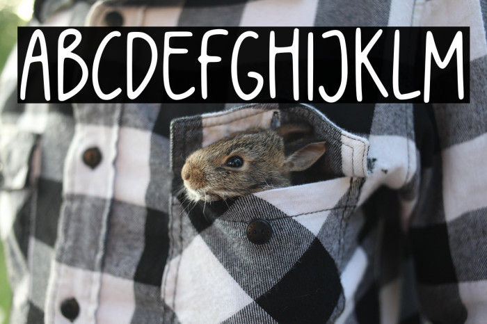 MagicRainbow-Regular Example 3