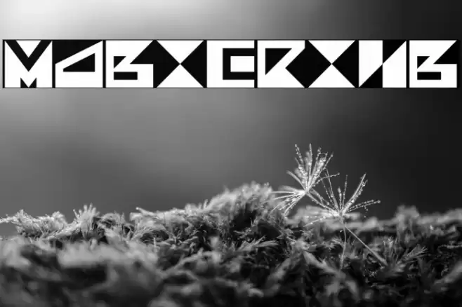 MagicRing Polices examples