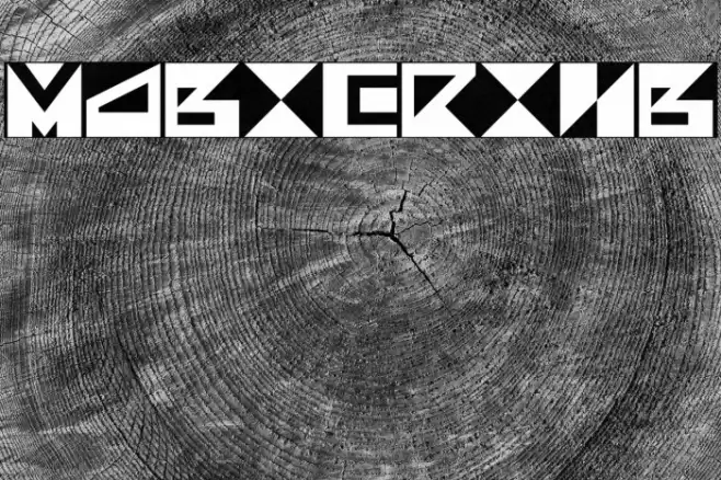 MagicRing Polices examples