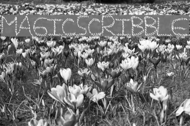 MagicScribble Font examples