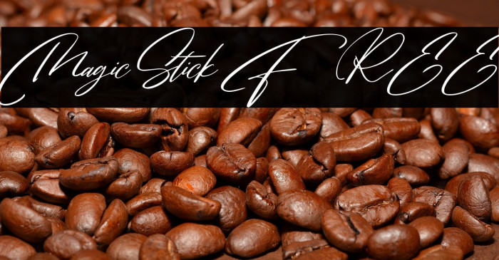 MagicStick FREE Example 1