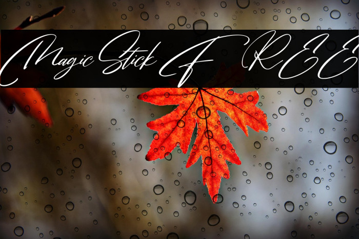 MagicStick FREE Example 2