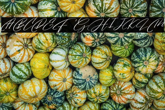 MagicStickFREE Example 2