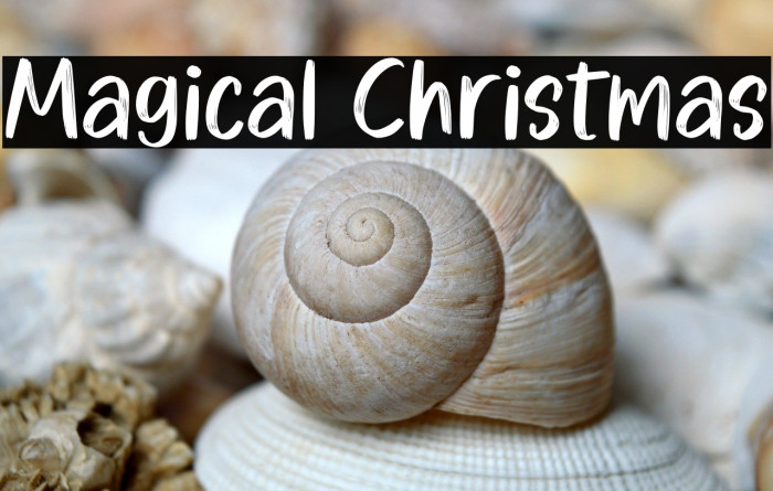 Magical Christmas Example 1