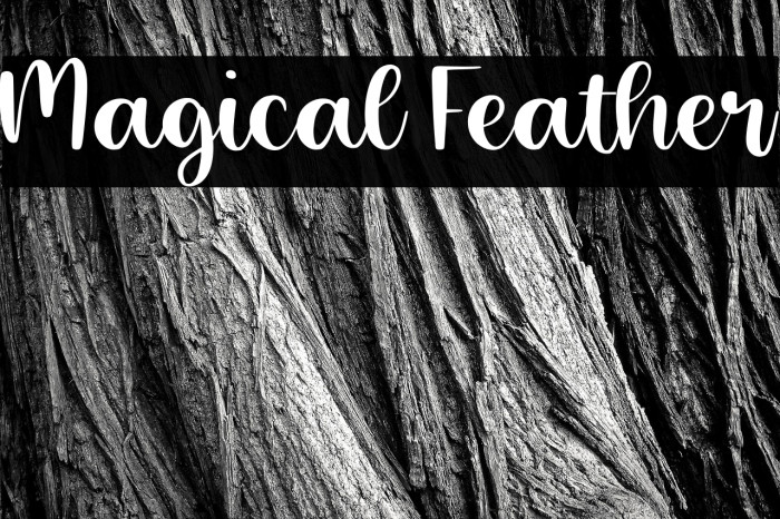 Magical Feather Example 1