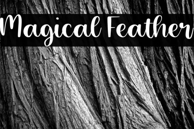 Magical Feather Example 1