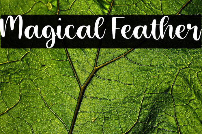 Magical Feather Example 2