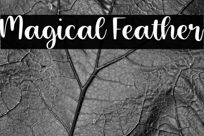 Magical Feather Example 2