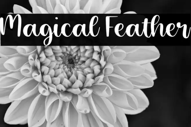 Magical Feather Example 3