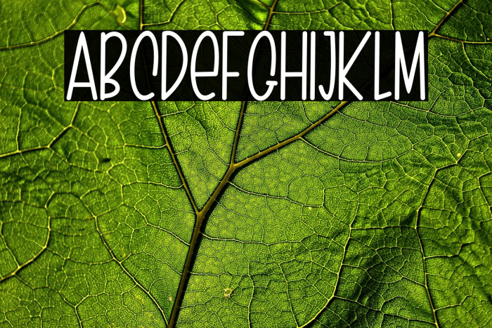 Magical History Example 2