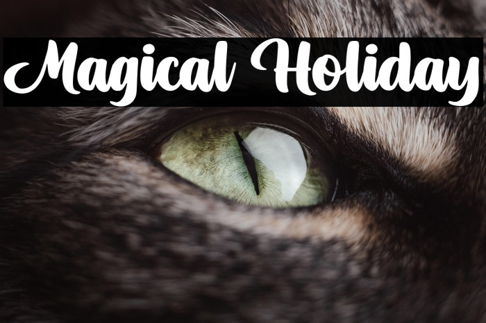 Magical Holiday Example 2