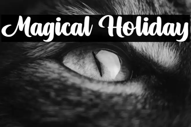 Magical Holiday Example 2