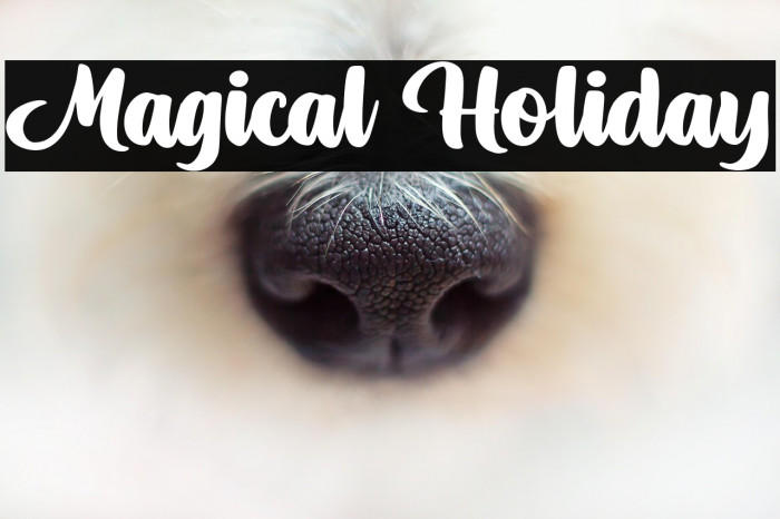 Magical Holiday Example 3