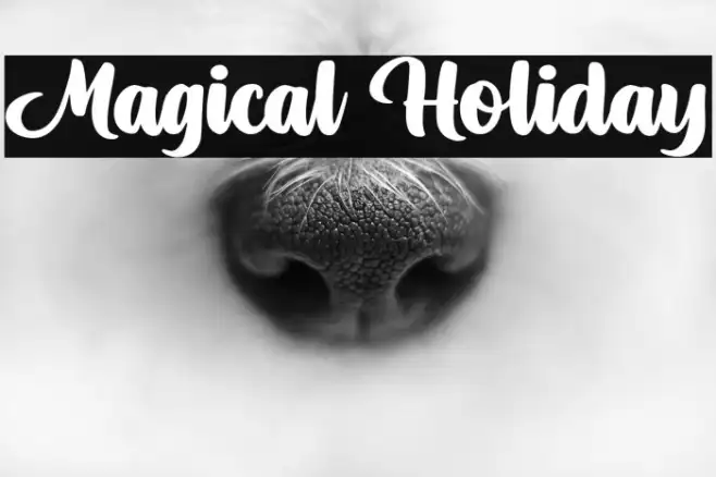 Magical Holiday Example 3